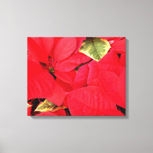 Impressão Em Tela Holly Point Poinsettias Holiday Floral