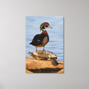 Impressão Em Tela Homem do pato de madeira que está em slider