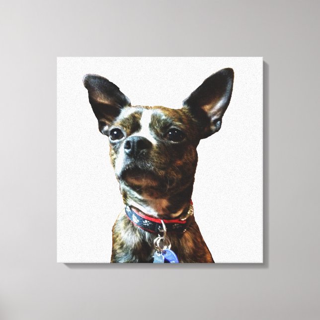 Impressão Em Tela Homem-Marv (Frente)