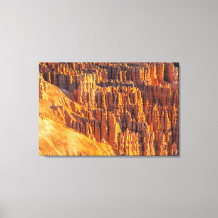 Impressão Em Tela Hoodoos do Bryce Canyon