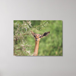 Impressão Em Tela Hora do almoço