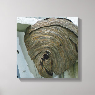 Impressão Em Tela Hornets Nest