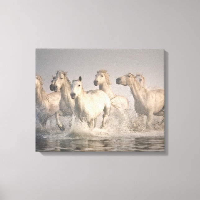 Impressão Em Tela Horse Galloping in the Mediterranean Water (Frente)
