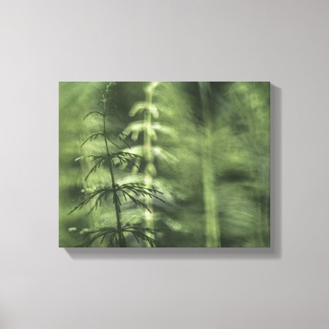 Impressão Em Tela Horsetail Foto verde floral (Frente)