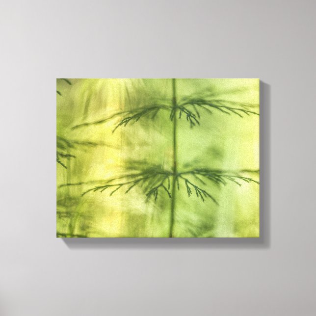 Impressão Em Tela Horsetail Nature Photo (Frente)