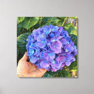 Impressão Em Tela Hortênsia Azul na Mão Impressionista Jardim