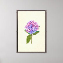 Hortênsia Vintage
