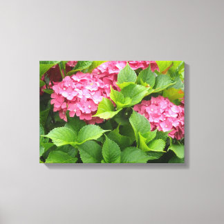 Impressão Em Tela Hortênsias Rosa Brilhante
