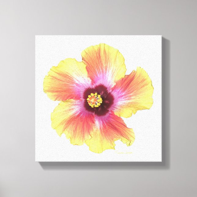 Impressão Em Tela Hot Hibiscus (Frente)