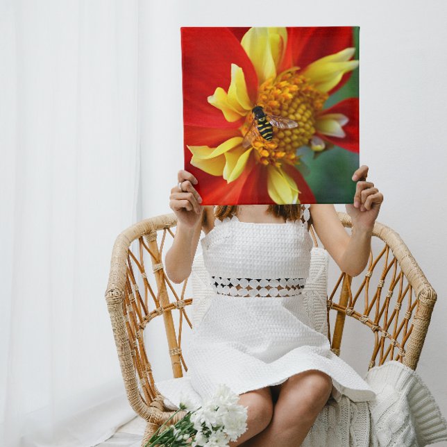 Impressão Em Tela Hover Fly sobre Collarette Dahlia Fotográfica (Criador carregado)