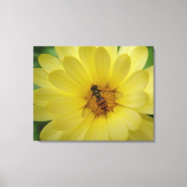 Impressão Em Tela Hoverfly em uma tela Marigold (Frente)