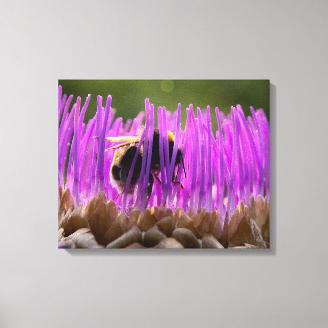 Impressão Em Tela Hummel im Artischockendschungel (Frente)