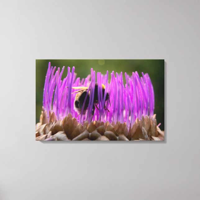 Impressão Em Tela Hummel im Artischockendschungel (Frente)