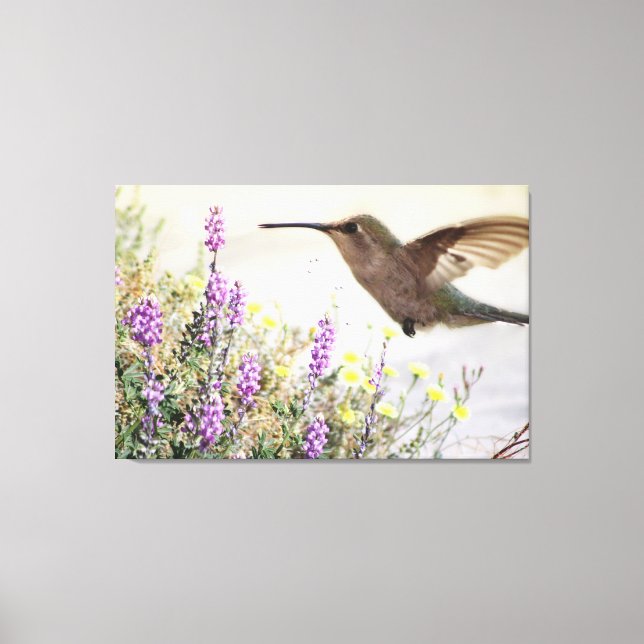 Impressão Em Tela Hummingbird and Wildflowers Digital Art (Frente)