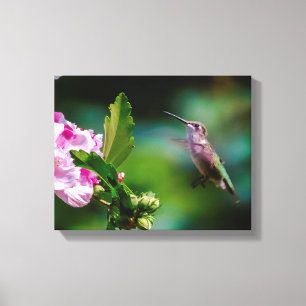 Impressão Em Tela Hummingbird com garganta de rubi - Fotografia orig
