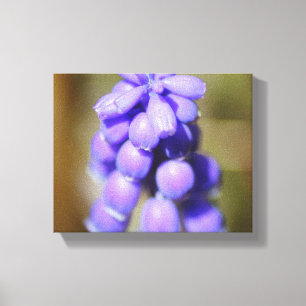 Impressão Em Tela Hyacinth Grape