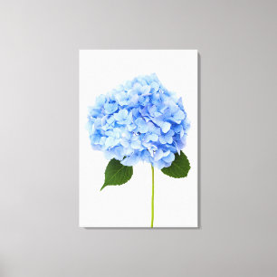 Impressão Em Tela Hydrangea