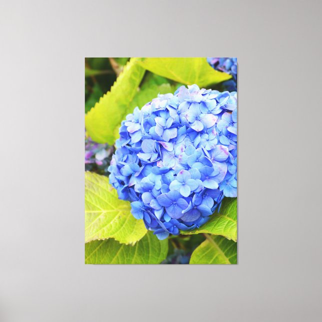 Impressão Em Tela Hydrangea azul (Frente)
