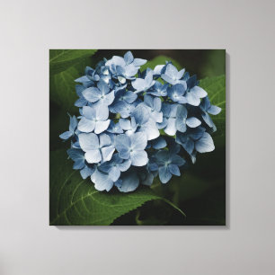 Impressão Em Tela Hydrangea Azul 8515 Tela Enrolada