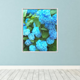Impressão Em Tela Hydrangea Blooms Floral Fotografia