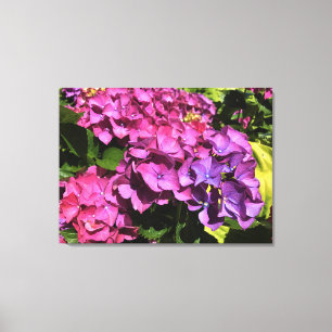 Impressão Em Tela Hydrangeas