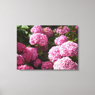 Impressão Em Tela Hydrangeas cor-de-rosa