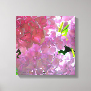 Impressão Em Tela Hydrangeas Rosa Radiantes
