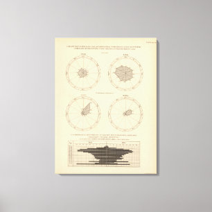 Impressão Em Tela Idade avançada de 119 mortes, doenças diarrheal