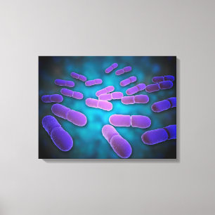 Impressão Em Tela Ideia microscópica do Listeria Monocytogenes 5