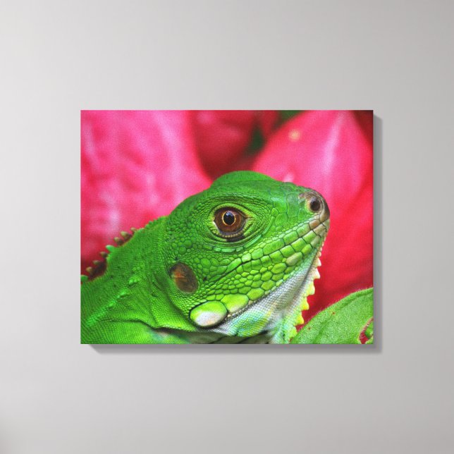 Impressão Em Tela Iguana - rosa e verde (Frente)