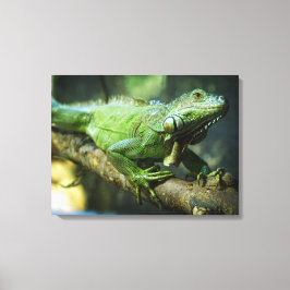 Impressão Em Tela Iguana Verde