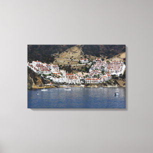 Impressão Em Tela Ilha de Catalina da arte da parede