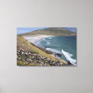 Impressão Em Tela Ilhas Falkland, West Falkland, Saunders