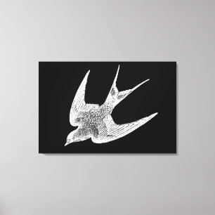 Impressão Em Tela Ilustração da andorinha - Pássaro antigo de 1800