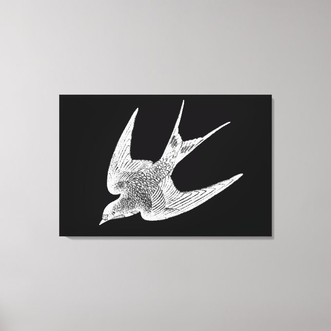 Impressão Em Tela Ilustração da andorinha - Pássaro antigo de 1800 (Frente)