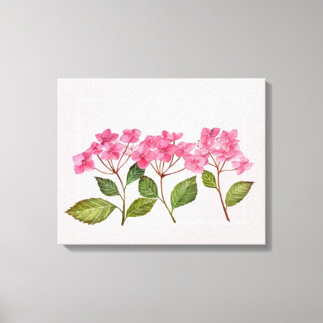 Impressão Em Tela Ilustração de Lacecaps de Hydrangea Pink de Aquare (Frente)
