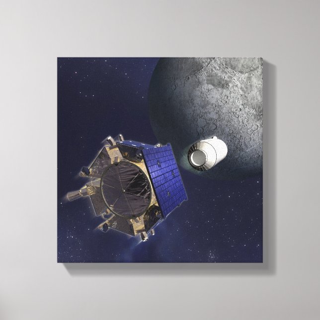 Impressão Em Tela Ilustração do Artista (Frente)