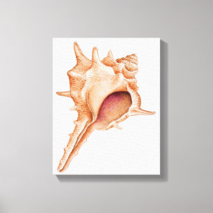 Impressão Em Tela Ilustração do escudo do Murex