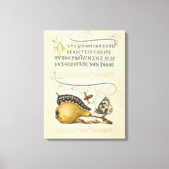 Impressão Em Tela Ilustração do Inseto da Fruta da Abelha da Borbole (Frente)