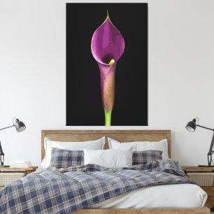 Impressão Em Tela Ilustração Elegante de Copo-de-Leite Roxo