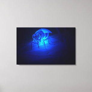 Impressão Em Tela Ilustração Luminescent de uma mosca de tsetse