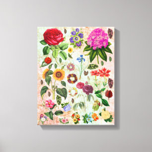 Impressão Em Tela Ilustrações da Flor Botânica Vintage