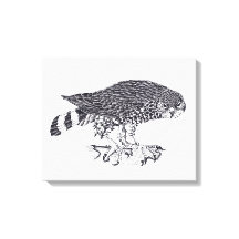 Imagem a preto e branco de Sparrow Hawk