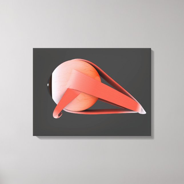 Impressão Em Tela Imagem Conceitual Da Anatomia Ocular Humana 7 (Frente)