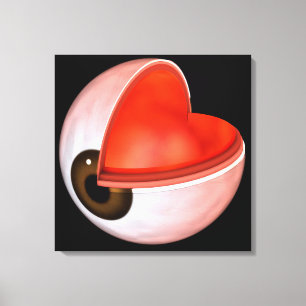 Impressão Em Tela Imagem Conceitual Da Anatomia Ocular Humana 8