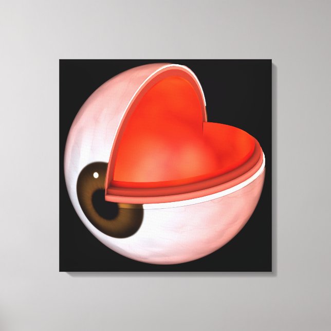 Impressão Em Tela Imagem Conceitual Da Anatomia Ocular Humana 8 (Frente)