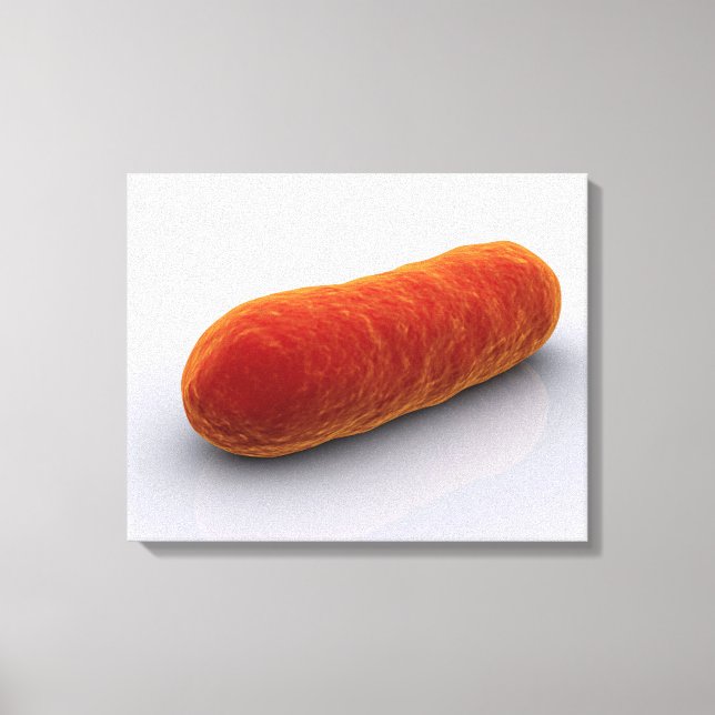 Impressão Em Tela Imagem Conceitual Das Bactérias 4 (Frente)