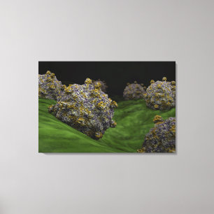 Impressão Em Tela Imagem Conceitual Do Coxsackievírus 1