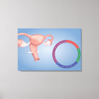 Impressão Em Tela Imagem Conceitual Do Orgão Reprodutor Feminino 3