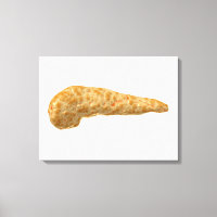 Imagem Conceitual Do Pâncreas Humano
